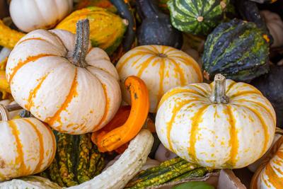 what healing properties does pumpkin have?