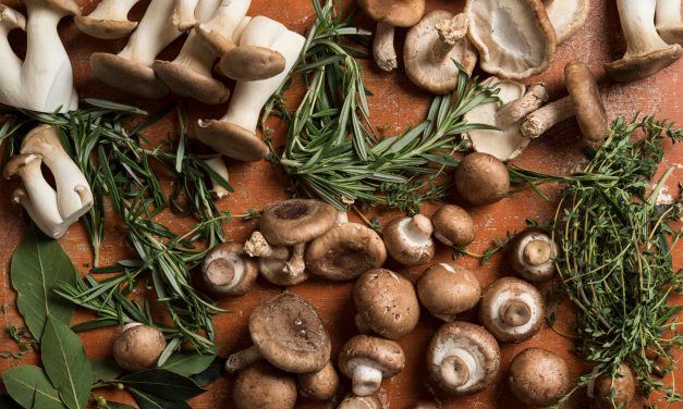 These are some benefits of mushrooms in a food