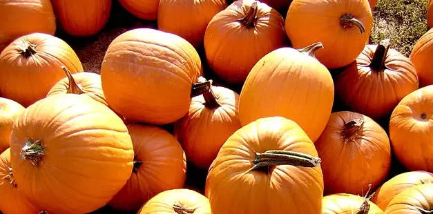 How do we get children to eat pumpkins?