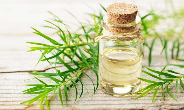 All the benefits of tea tree oil